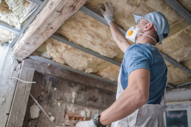 Best Specialized Insulation Services in Pierre, SD