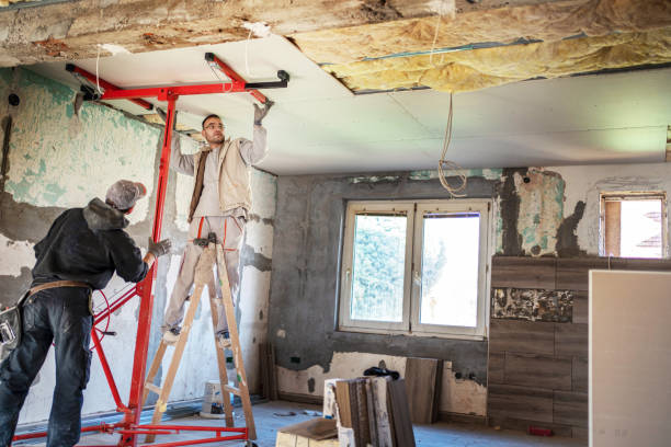 Best Insulation Maintenance and Repair in Pierre, SD