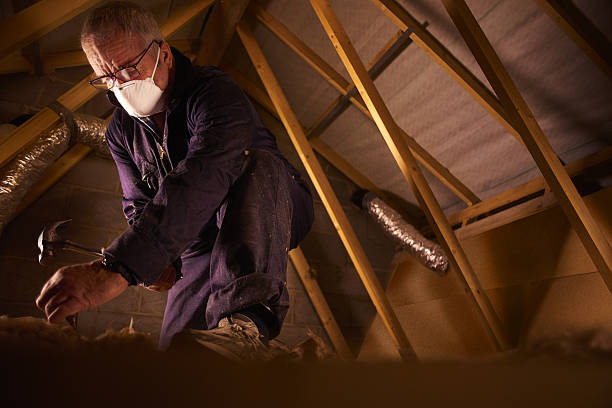 Best Geographic-Specific Insulation Services in Pierre, SD